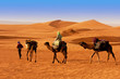 The Berbesky tribe passes the desert in Africa