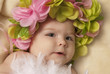 baby with a crown