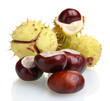 Foto: green and brown chestnuts isolated on white green and brown chestnuts isolated on white
