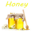 Sweet honey in jars and acacia flowers isolated on white