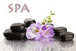 Foto: Spa stones and purple flower, isolated on white Spa stones and purple flower, isolated on white