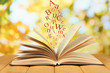 Opened book on bright background
