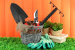 Garden tools on grass in yard