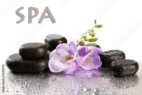 Photo: Spa stones and purple flower, isolated on white Spa stones and purple flower, isolated on white
