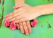 Woman hands with pink manicure and flowers, on color background