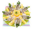 Oysters isolated on white