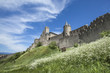 Cité de Carcassonne