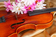 Classical violin on fabric background