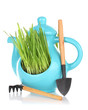 Foto: Green grass in decorative pot isolated on white Green grass in decorative pot isolated on white