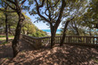 Photo: Beautiful park with Pine Trees Beautiful park with Pine Trees