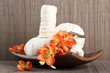 Herbal compress balls for spa treatment on bamboo background