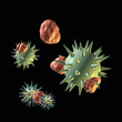 immunsystem gegen viren