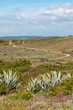 Portugal - Algarve - Pontal Carrapateira