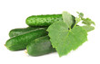 Tasty green cucumbers, isolated on white