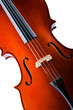 Violin isolated on the white background