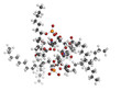 Lipid A bacterial endotoxin, molecular model