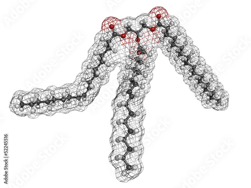 Illustration: Trans-fat containing triglyceride (elaidyl stearyl oleyl triglyc Trans-fat containing triglyceride (elaidyl stearyl oleyl triglyc