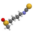 Sulforaphane broccoli and Brussels sprouts molecule, chemical st