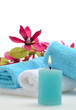 Wellness Sternmagnolienzweig