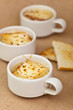 French onion gratin soup