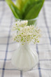Frischer Bärlauch mit Bärlauchblüte