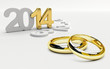 sposarsi nel 2014, scelta fedi