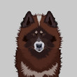 Canadian Eskimo Dog