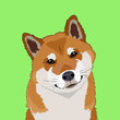 Shiba inu