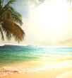 Tropical beach