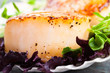 Pan Seared Scallop on the Half Shell