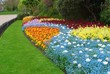 Blossoming colorful flowerbeds in summer city park