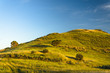Foto: Sardegna, colle Sardegna, colle