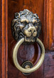 Lion head, brass door knocker