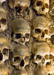 Wall full of skulls and bones