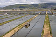 Foto: worm farm, Aberavon worm farm, Aberavon