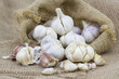 Foto: Fresh garlic in package Fresh garlic in package