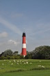 Leuchtturm auf Pellworm