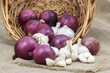 Foto: Fresh garlic and onion in a basket Fresh garlic and onion in a basket
