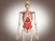 3D Rendering Intestinal internal organ