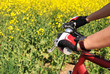 Photo: Hands in a gloves on the handlebar of a mountain bike Hands in a gloves on the handlebar of a mountain bike