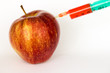 Red apple and syringes isolated on white