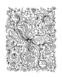 Vetor: Floral ornament, hand drawn sketch for your design Floral ornament, hand drawn sketch for your design