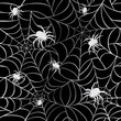 Spiders on Webs Black