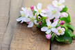 Apfelblüten