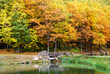 wooden bridge near the lake in autumn