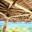 Under the parasol at the tropical beach