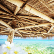 Idyllic tropical scene