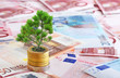 Pine tree growing from pile of coins