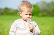 Photo: kind mit pusteblume kind mit pusteblume