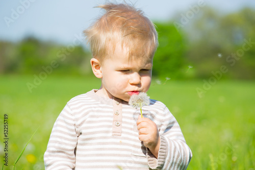 Photo: kind mit pusteblume kind mit pusteblume